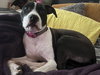 Dotty - Photo 14