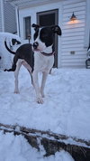 Dotty - Photo 16