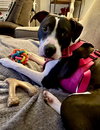 Dotty - Photo 9