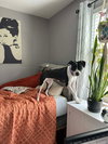 Dotty - Photo 4