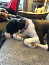Dotty - Photo 7
