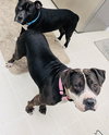 Rilo Gravy - Photo 8