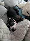 Rilo Gravy - Photo 6
