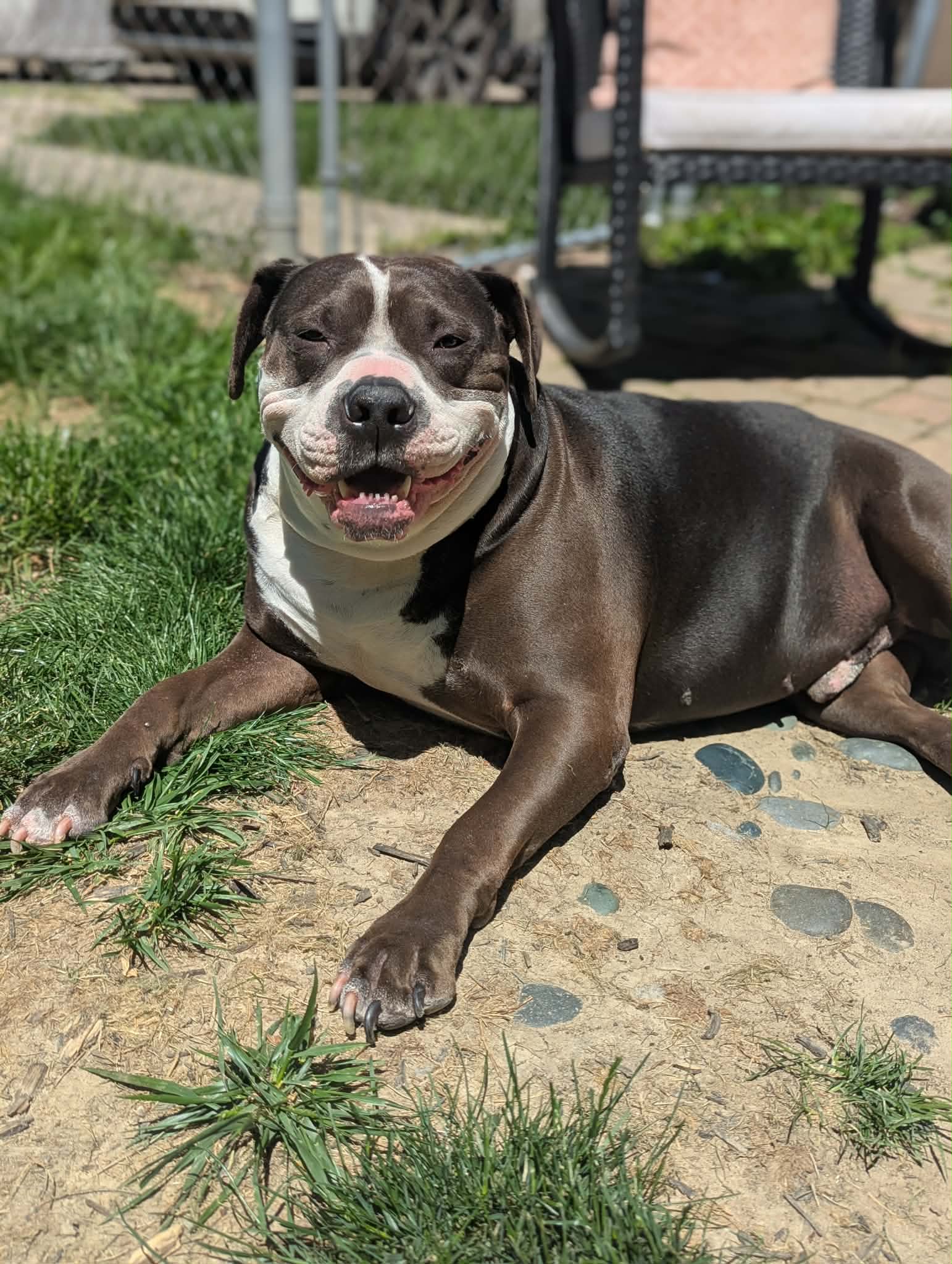Rilo Gravy