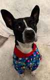 Harvey - Photo 4
