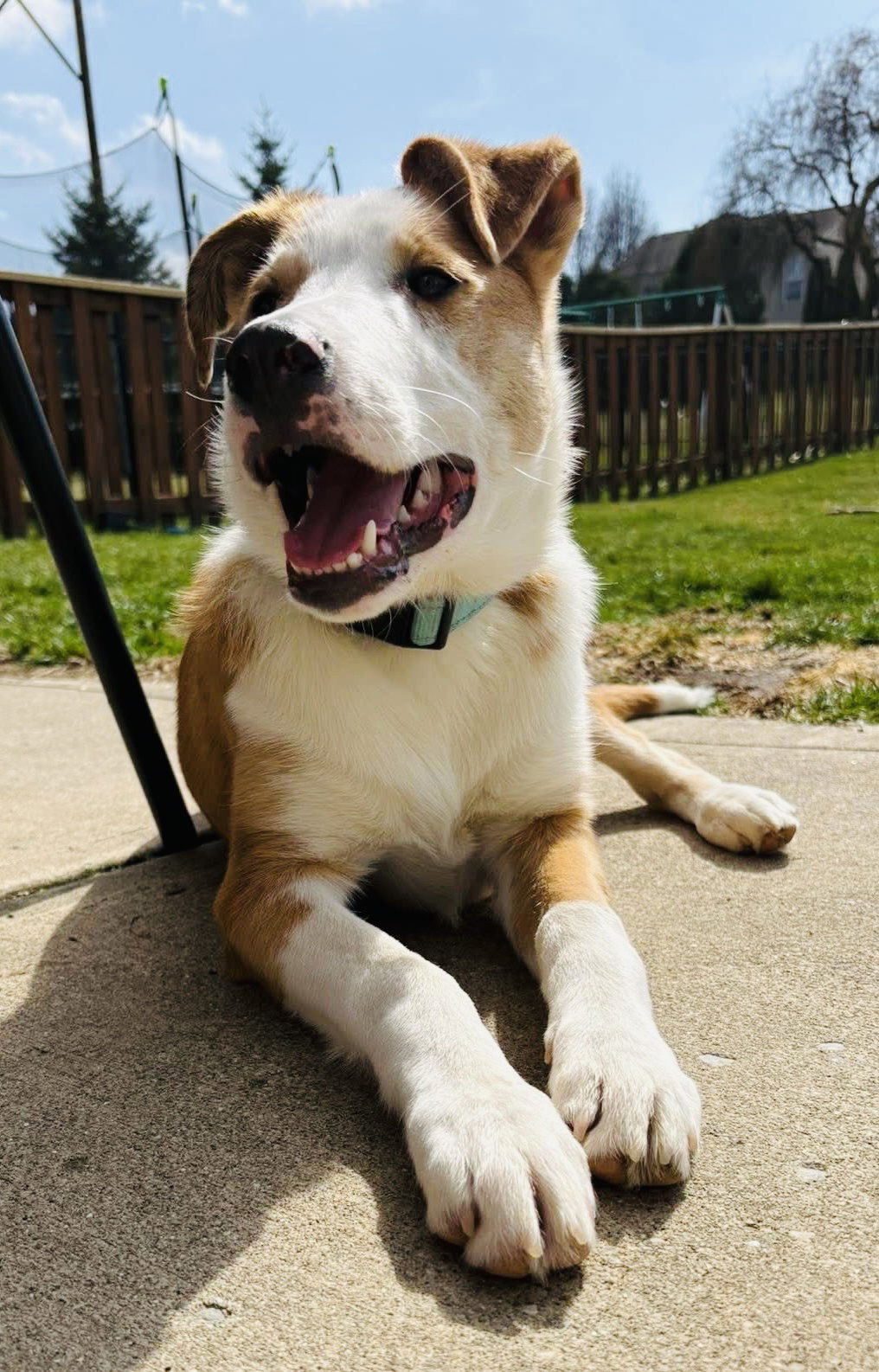 Krypto