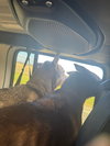 Maine and Virginia - Photo 10