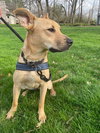 Cassian - Photo 3