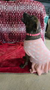 Mallow Cup - Photo 5