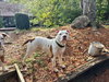 Doc Holiday - Photo 1