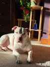 Doc Holiday - Photo 2