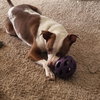 Pinata - Photo 14