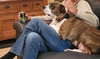 Mugsy - Photo 1