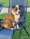 Mugsy - Photo 2