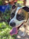 Mugsy - Photo 5