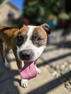 Mugsy - Photo 9