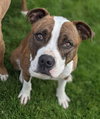 Mugsy - Photo 11