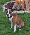Mugsy - Photo 12