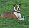 Mugsy - Photo 14