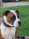 Mugsy - Photo 17