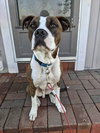 Mugsy - Photo 19