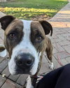 Mugsy - Photo 21