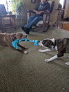 Mugsy - Photo 23