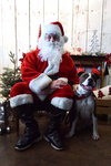 Mugsy - Photo 24