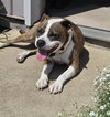 Mugsy - Photo 3