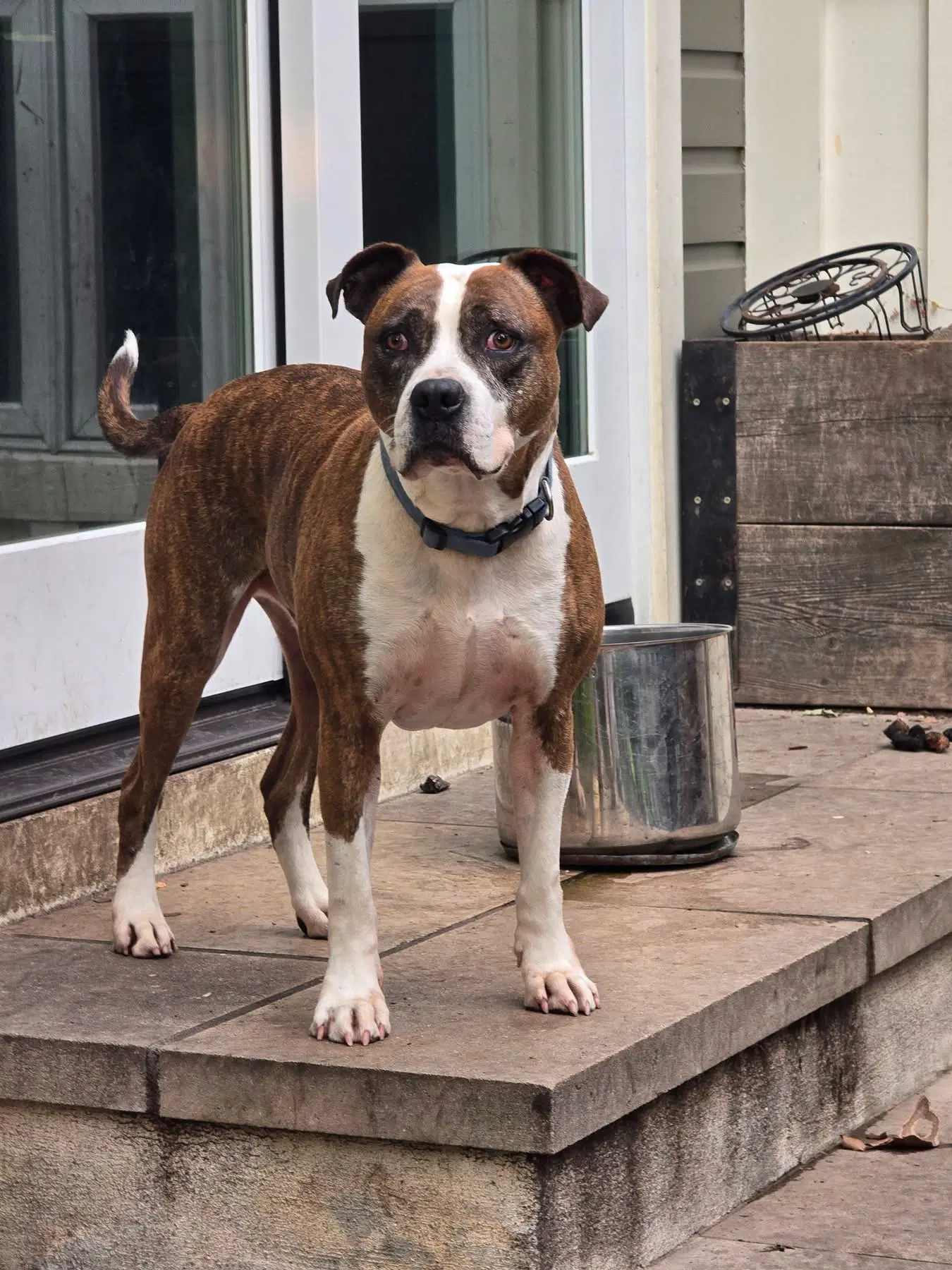 Mugsy image 3