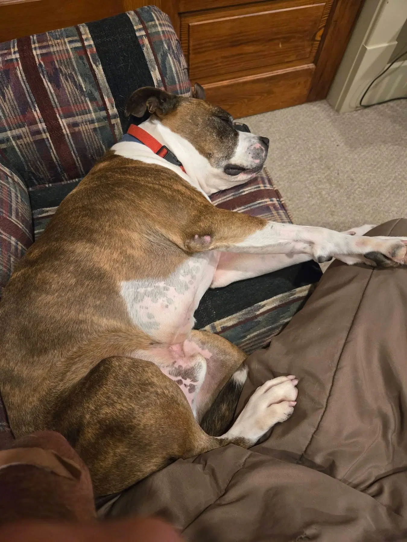 Mugsy image 2