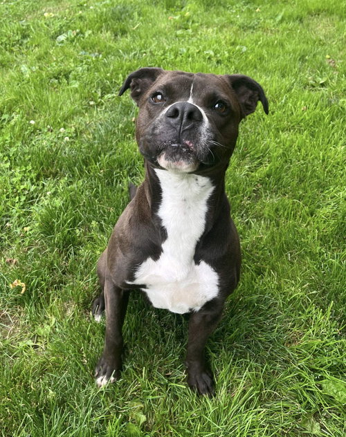 Leila, photo 10