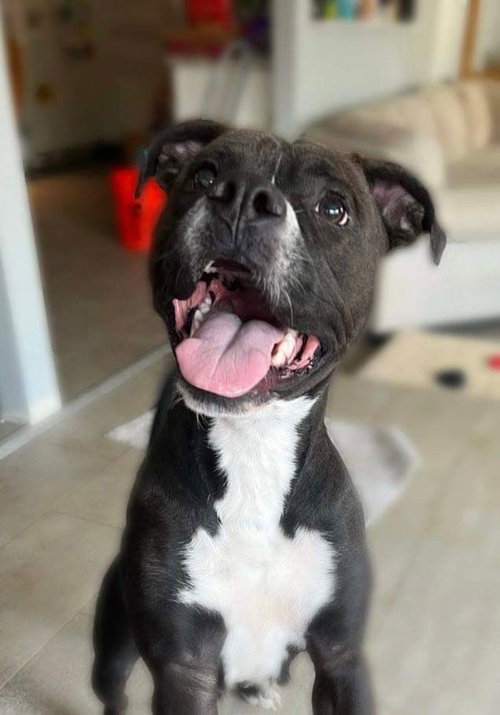 Leila, photo 11