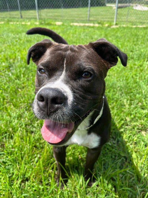 Leila, photo 17