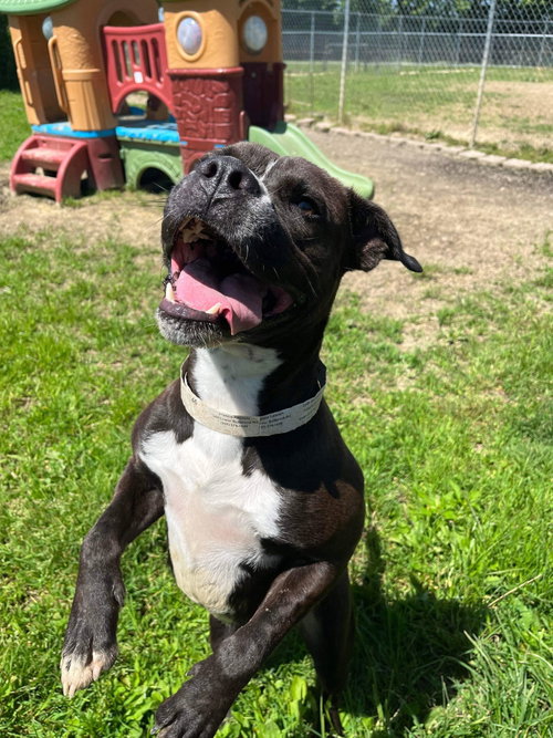 Leila, photo 18