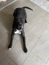 Leila Ali - Photo 14
