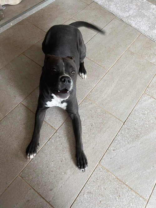 Leila, photo 19