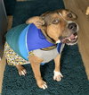 Zapster - Photo 1