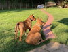 Zapster - Photo 3