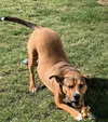 Zapster - Photo 4