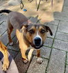 Zapster - Photo 9