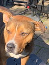 Zapster - Photo 11