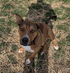 Zapster - Photo 13