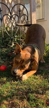 Zapster - Photo 22
