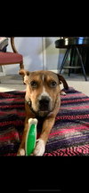 Zapster - Photo 24