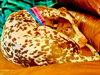 Pippi - Photo 2