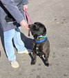Mars Bar - Photo 5