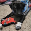 BottleCap - Photo 10