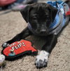 BottleCap - Photo 6