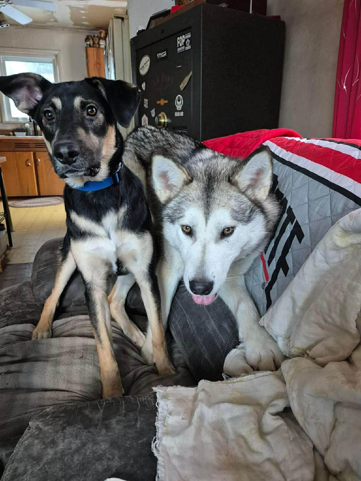 Luna at Large, photo 9